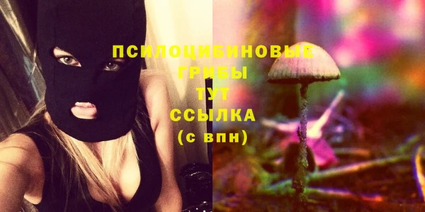 герыч Вязьма