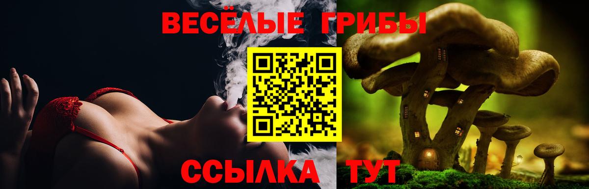 Галлюциногенные грибы MAGIC MUSHROOMS Муром